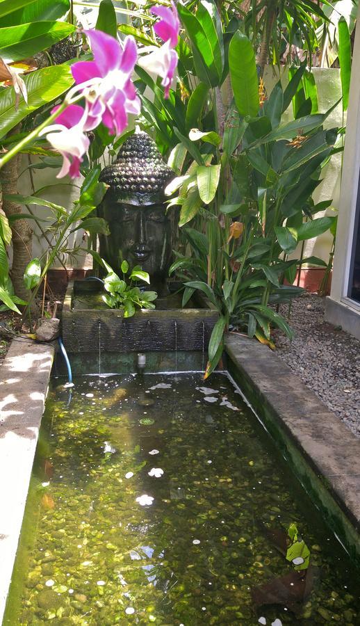 Villa Las Brisas チャンディダサ エクステリア 写真